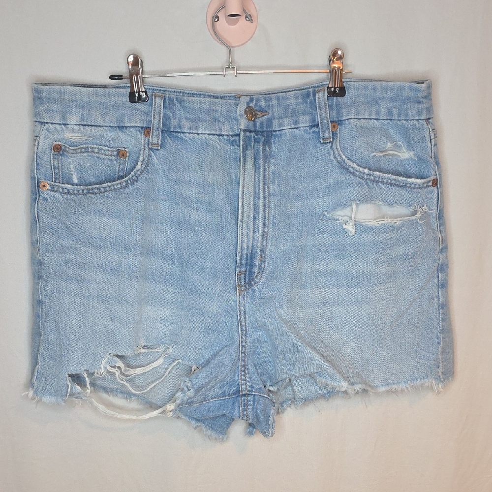 American Eagle Outfitters Light Blue Ripped Jean Shorts